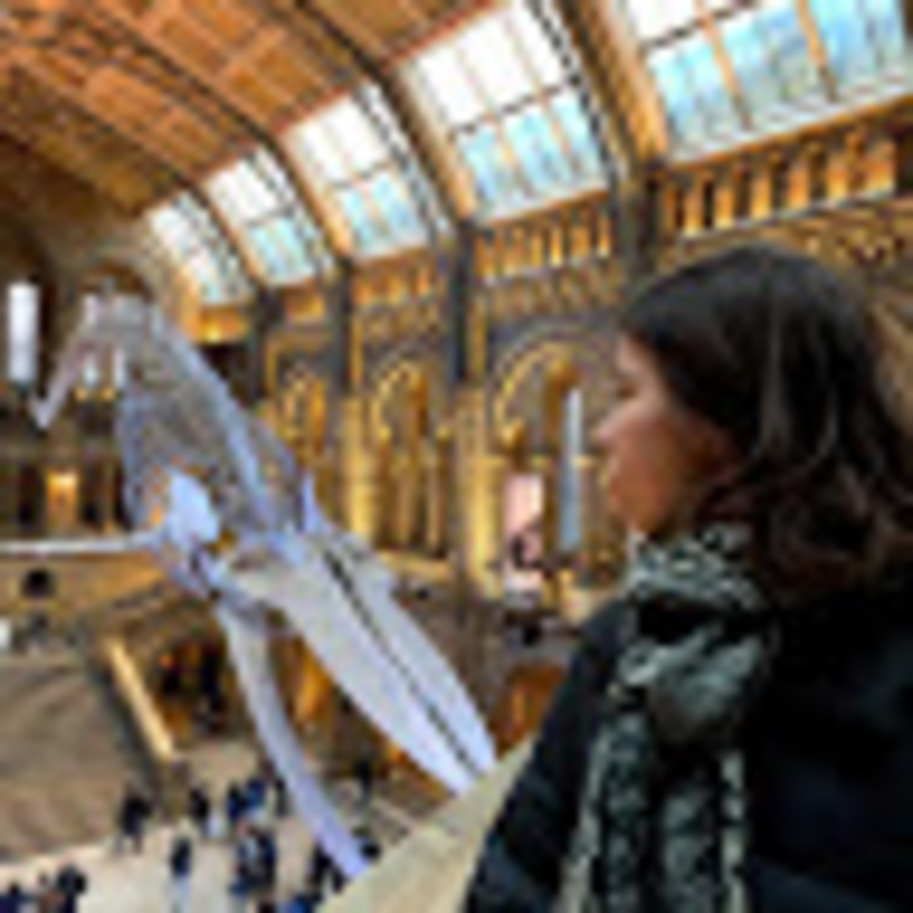 Meet your Posher, Kit